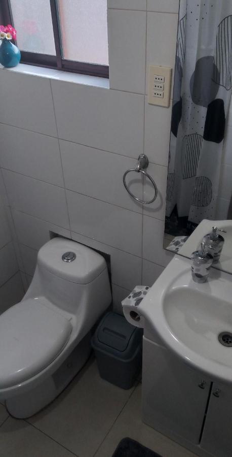 Rural Polita, Y Patrimonial