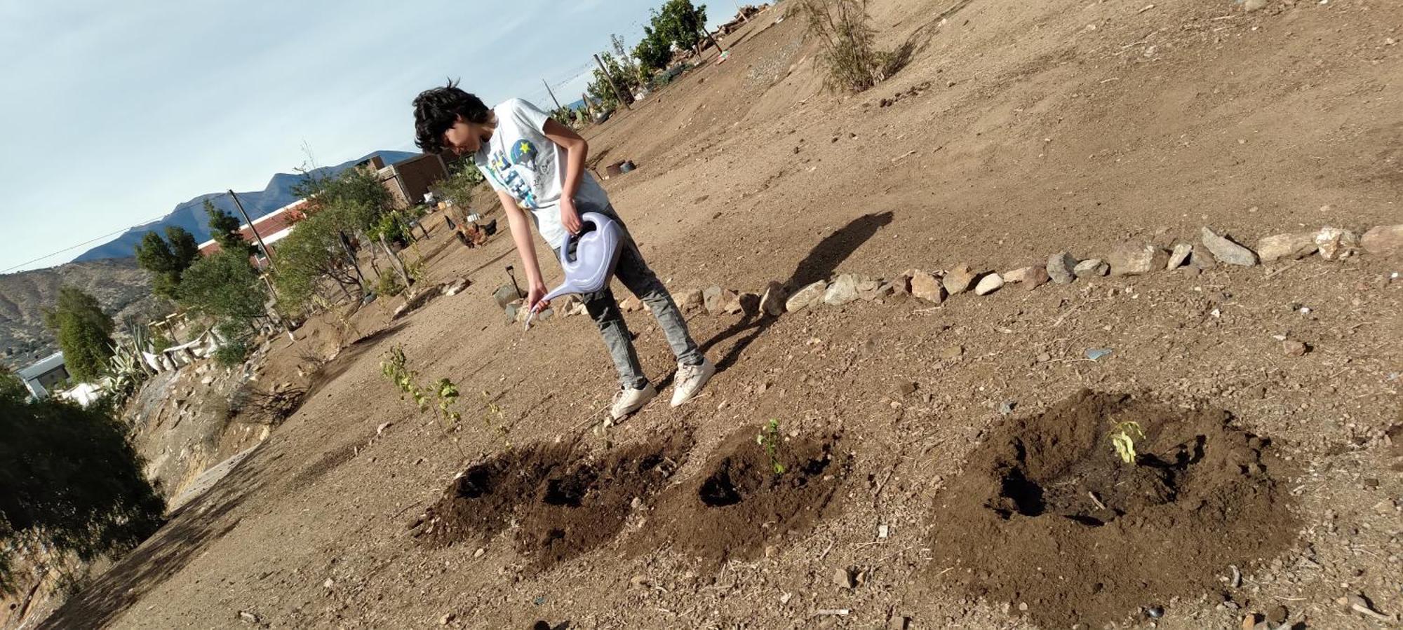 Alojamento de Turismo Selvagem Rural Polita, Y Patrimonial *