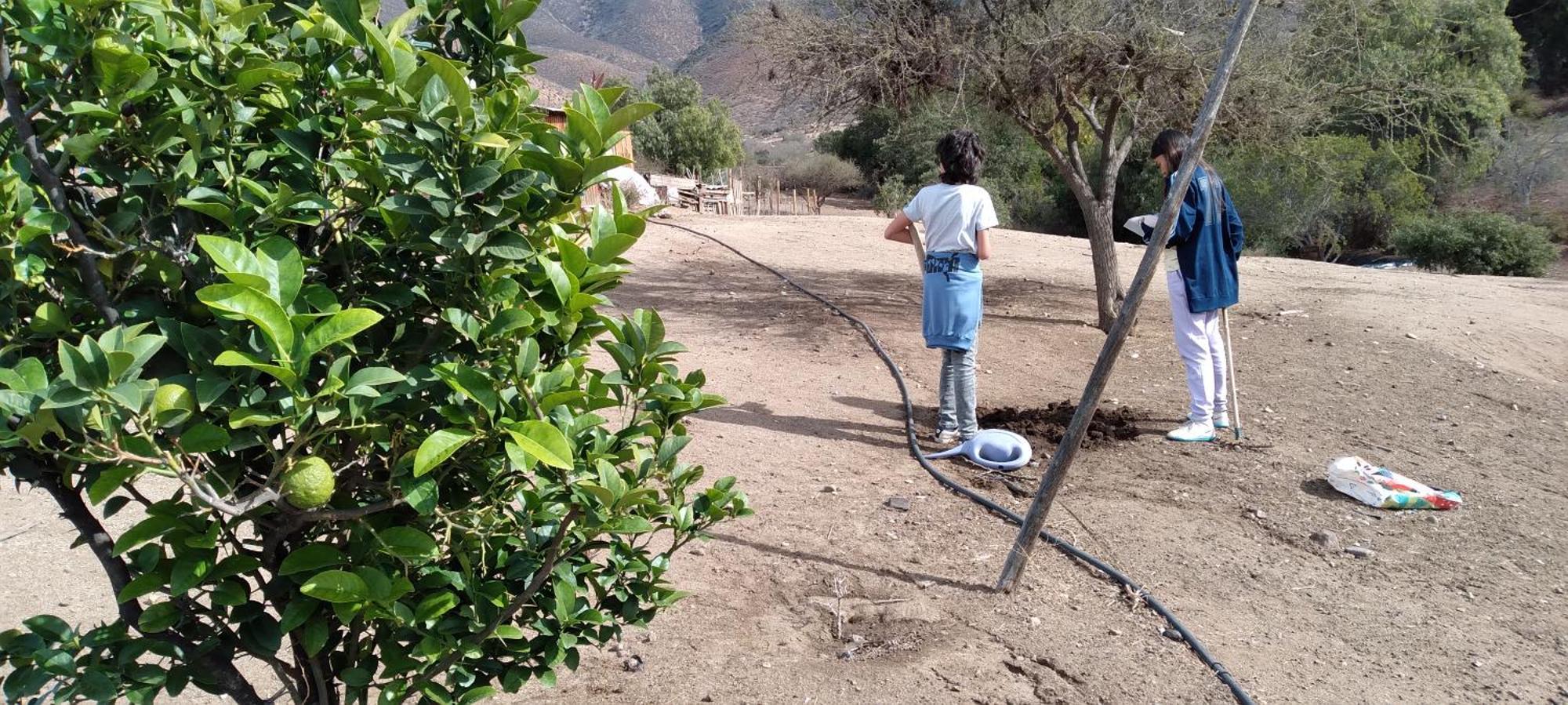 Rural Polita, Y Patrimonial Lodge